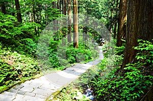 Road in Dewa Shrine,Yamagata,Japan