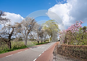 road on dike near river linge at geldermalsen in holland with blooming spring flowers