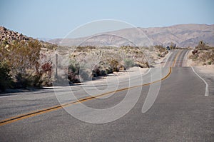 Road disappearing in the distant dessert at Yoshua Tree national