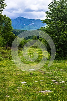 Road disappearing into the mountains of Abkhazia