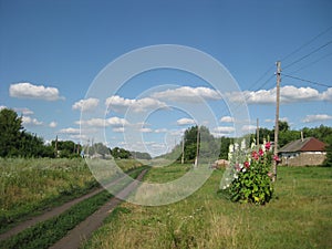 The road into the distance, countryside, summer,landscape