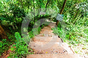Road down to the waterfall