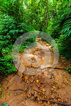 Road down to the waterfall