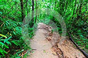 Road down to the waterfall
