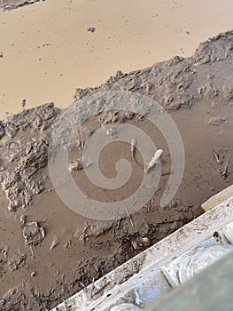 Road and Drainage Flooded with Thick Mud Debris photo