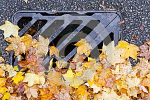 Road Drainage Metal Grill Drain Cover with Autumn Maple Leaves