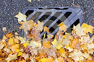 Road Drainage Metal Grill Drain Cover with Autumn Maple Leaves