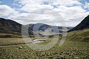 Road driving Highlands Mountain Scotland UK