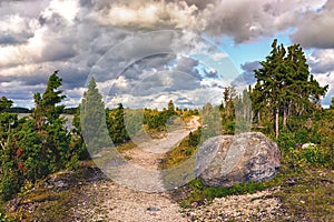 Road in the dunes of the Baltic