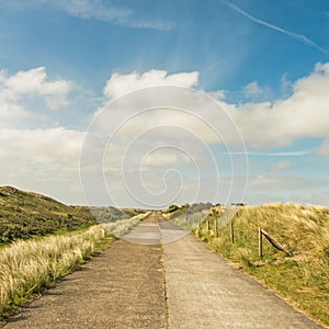 Road through the dunes of district Waterleidingduinen near to the cities Zandvoort and Amsterdam in the Netherlands