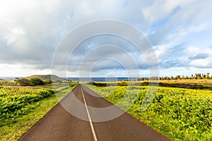 Road in Easter Island, Rapa Nui. Chile