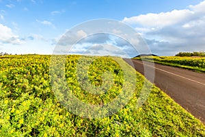 Road in Easter Island, Rapa Nui. Chile