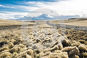 Road in endless Patagonia plains