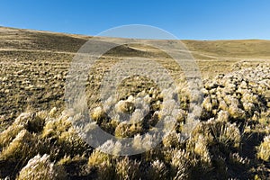 Road in endless Patagonia plains