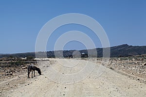 Road in Ethiopia