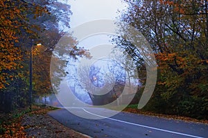 Road in the evening, autumn, fog,