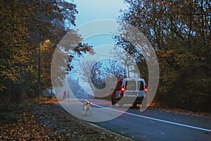 Road in the evening, autumn, fog, children on the road,