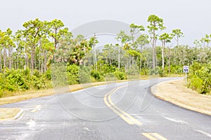 road in Everglades National Park, Florida, USA