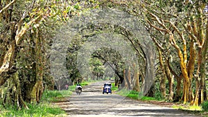 Road from Polonnaruwa to Dehiattakandiya in Sri lanka . photo