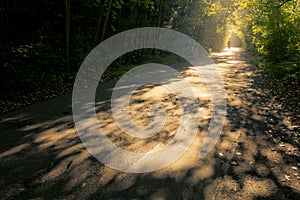 Road with fantastic mornin sunrays photo