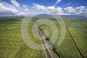 Road through farmland.