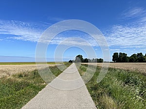 Road through the farmland around Oudebildtzijl