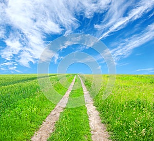 Road in field