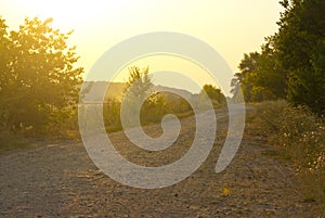 Road in a field