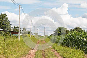 Road in the field.