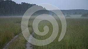 The road in the field on a background of fog