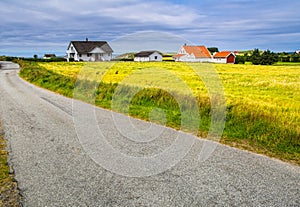 Road, field and rural house on the coast of ocean. Norway.
