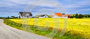 Road, field and rural house on the coast of ocean. Norway. Country landscape