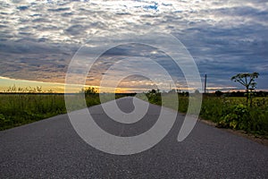 Road in the field at sunset. Summer field. Asphalt road. Summer landscape. Russian roads