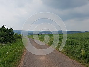 A road between the fields for Hiking