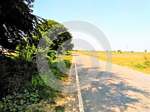 Road in fild, road ke kinare ped , road ke kinare khet