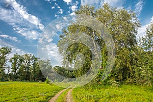 The road in the floodplain of the Don River