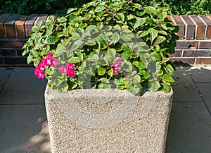 Road Flower Pot, Street Bed, Modern City Floristry, Urban Flowerbeds Design, City Flowers Landscaping