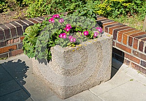 Road Flower Pot, Street Bed, Modern City Floristry, Urban Flowerbeds Design, City Flowers Landscaping photo