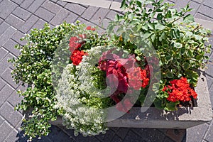 Road Flower Pot, Street Bed, Modern City Floristry, Urban Flowerbeds Design, City Flowers Landscaping photo