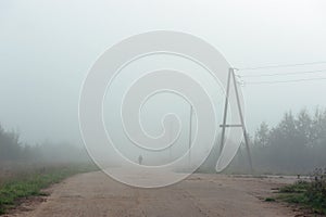 The road by the fog