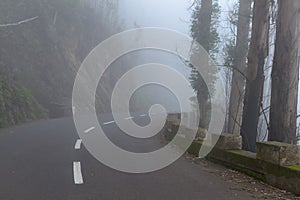 Road in a fog in a cloud in the mountains of Madeira Island, Portugal