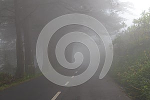 Road in a fog in a cloud in the mountains of Madeira Island, Portugal