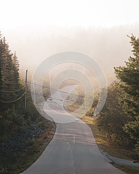 A road in fog, in Cutler, Maine