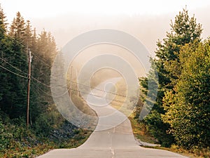 A road in fog, in Cutler, Maine