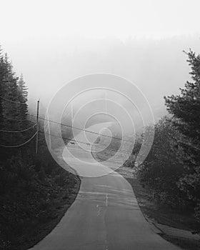 A road in fog, in Cutler, Maine