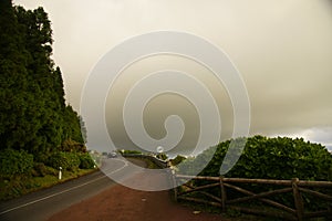 Road in fog on Sao Miguel, Azores, Portugal