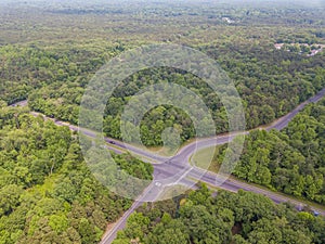 Road in the forest