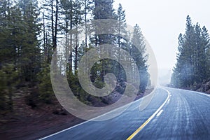 Road through forest