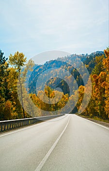 The road in the forest, around the mountains.