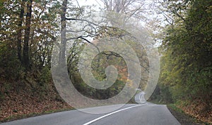 A road in a forest at autumn